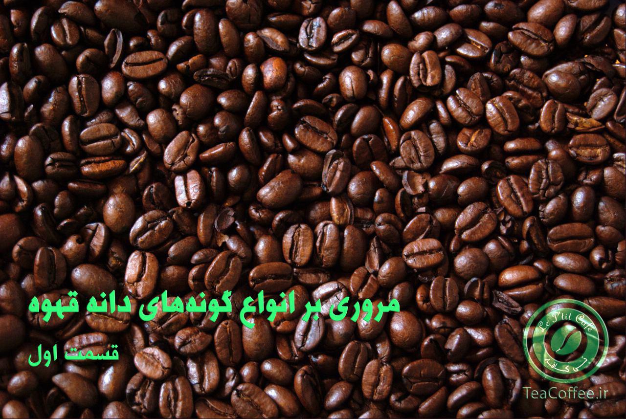 انواع دانه قهوه